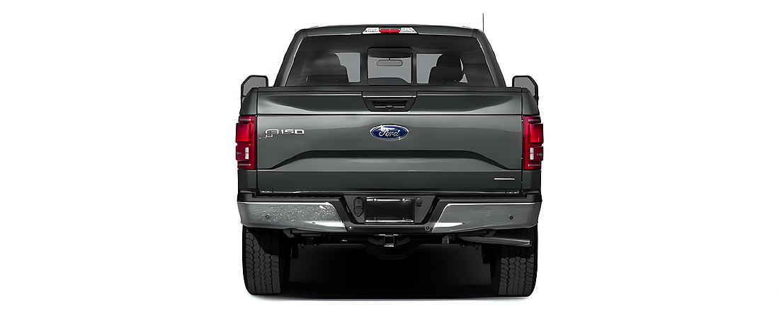 Ford F-150 2017 118