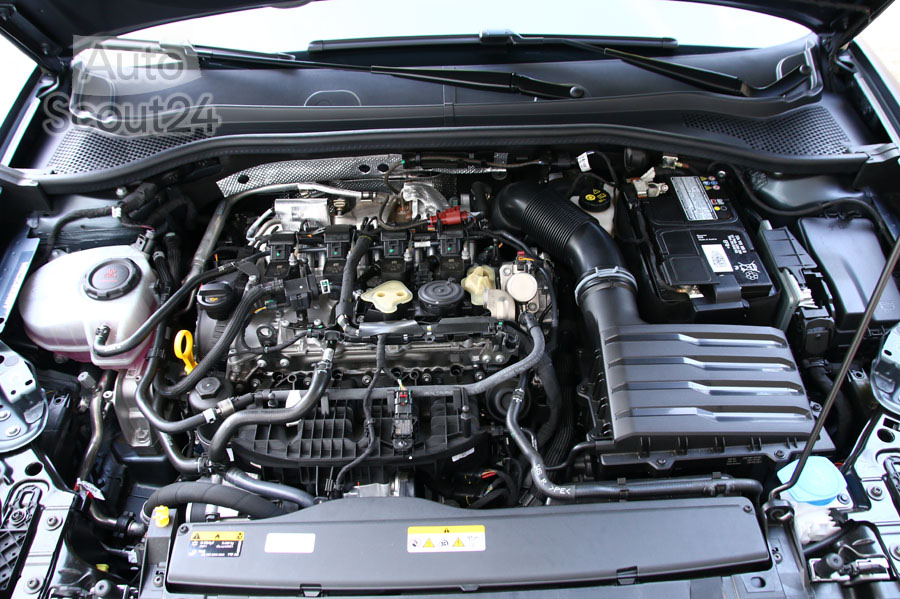 Ford Focus ST vs CUPRA LEon (6).JPG
