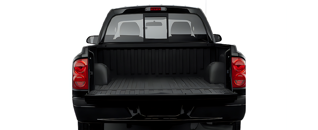 Dodge Dakota 2010 13