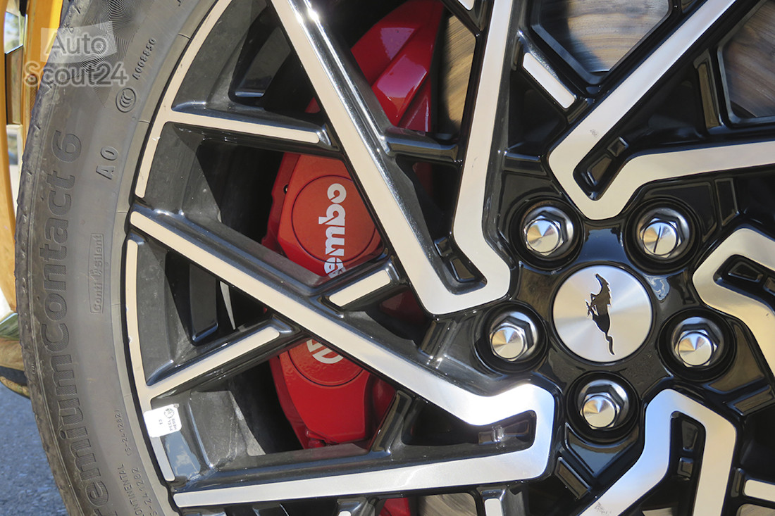 15_Ford Mustang Mach-e GT_freno.JPG