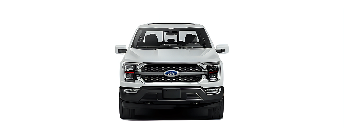 Ford F-150 2021 76