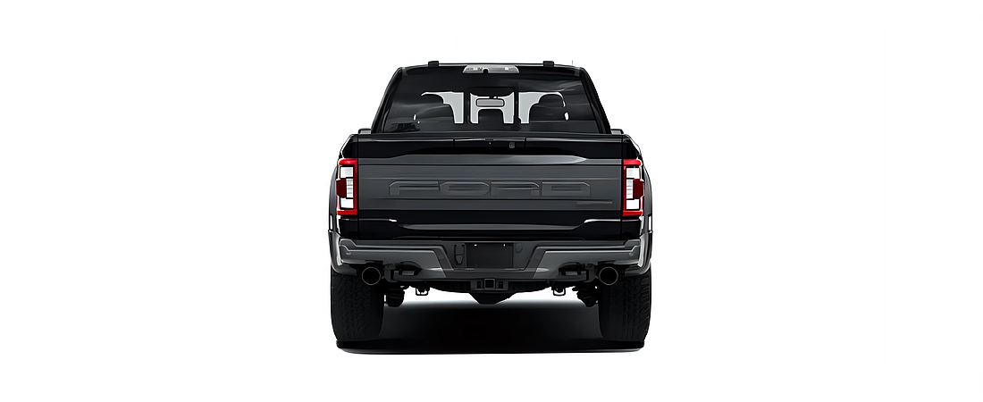 Ford F-150 2022 138