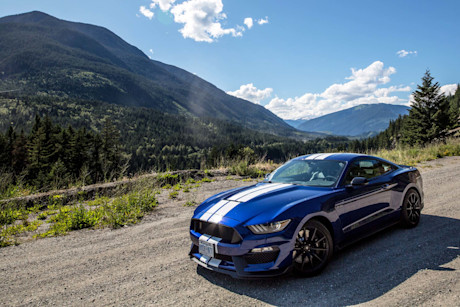 Editorial 02a bm 2016 ford mustang shelby gt350 horse sanctuary