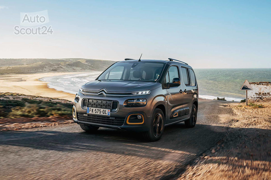 Citroen_Berlingo_Rip_Curl.jpg