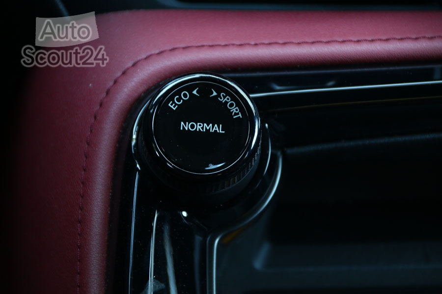lexus-nx-350h (13).JPG