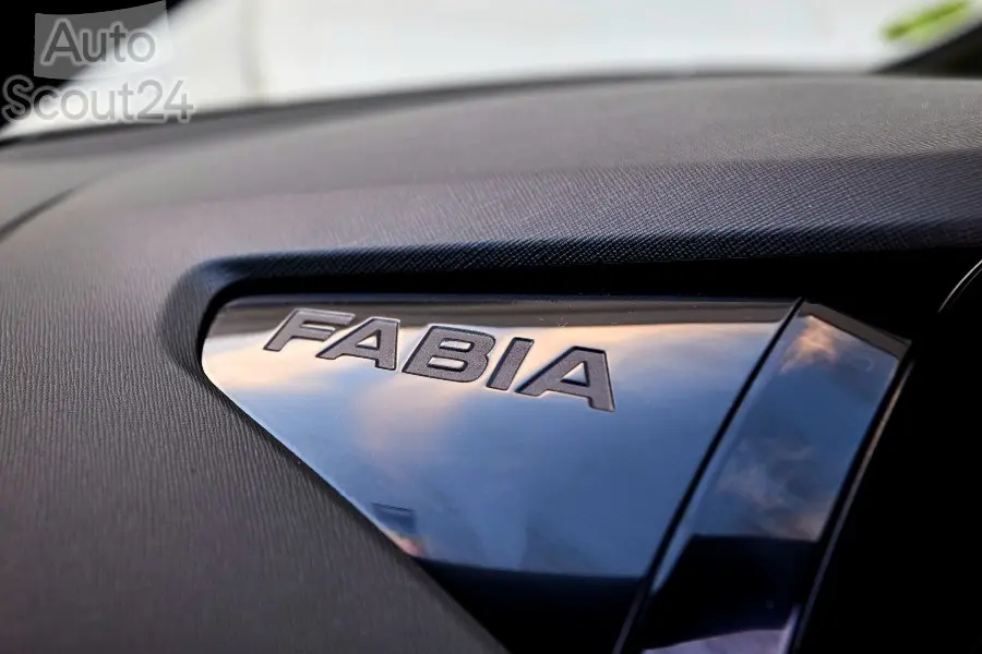 fabia (17) (2)