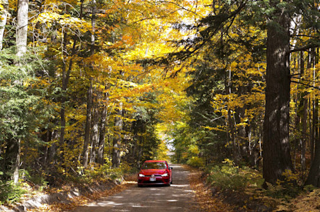 Editorial 2016 volkswagen golf r jw 03