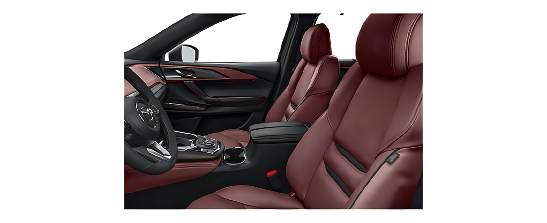 Mazda CX-9 2020 47