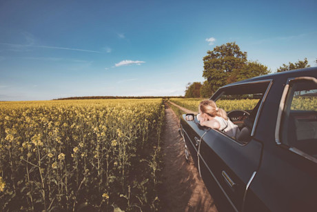 Auto und Natur