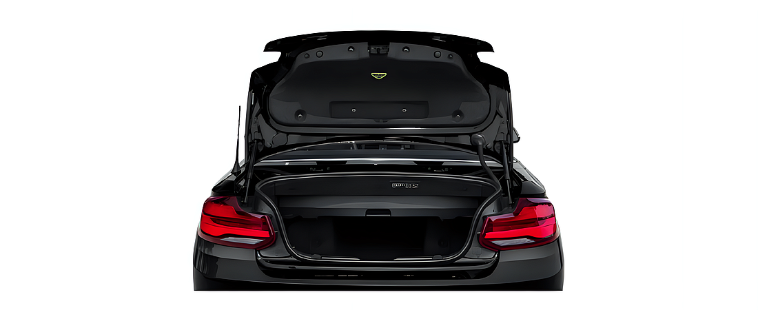 BMW 2 Series 2020 29