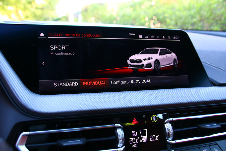BMW 218i gran coupe (55).JPG