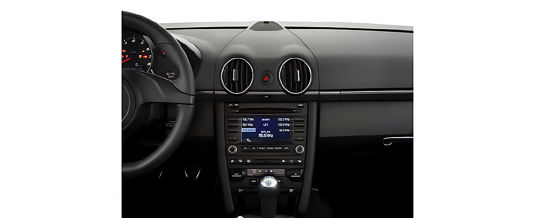 Porsche Cayman 2011 18