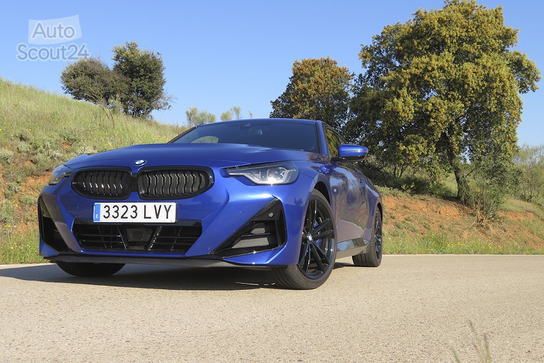 1_BMW_220i_Coup__.JPG