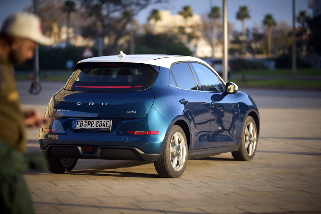 ora_funky_cat_first_edition_32