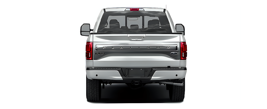 Ford F-150 2017 166