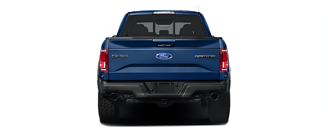 Ford F-150 2018 100