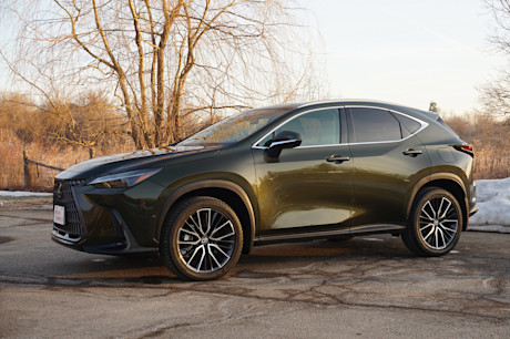 Editorial 2025 lexus nx 350h td jl 250507 20