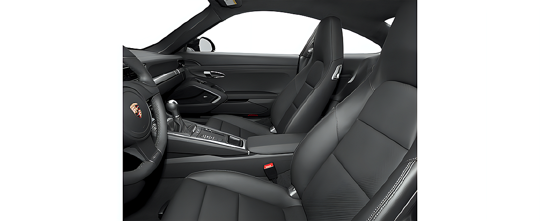 Porsche 911 2013 8