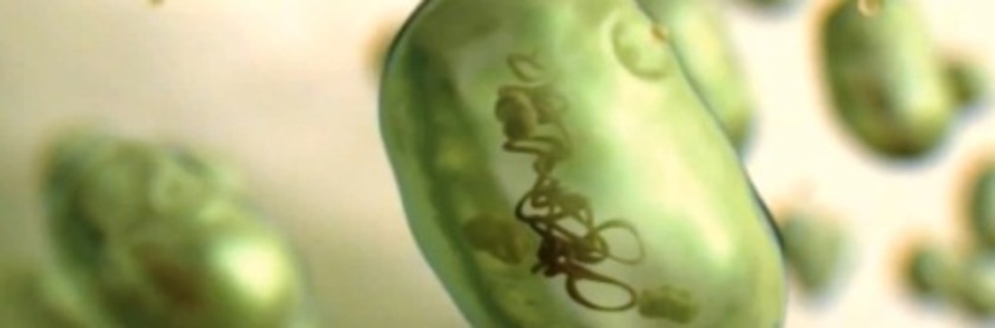 Reportage: Audi Future Lab: Mobility – Quand le problème devient une solution