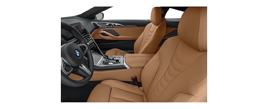 BMW 8 Series 2021 22