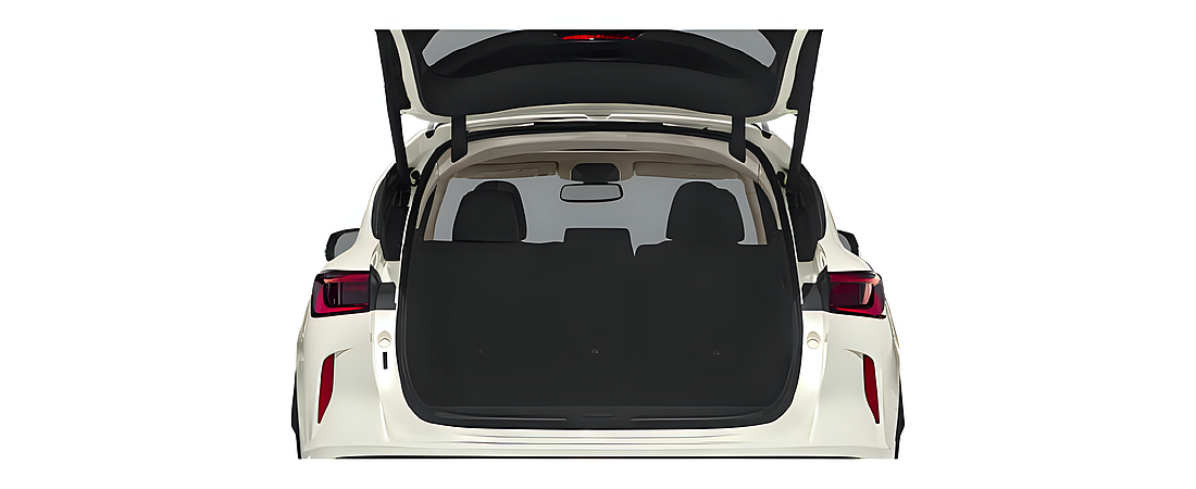 Infiniti QX50 2021 10