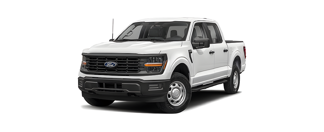 Ford F 150 27