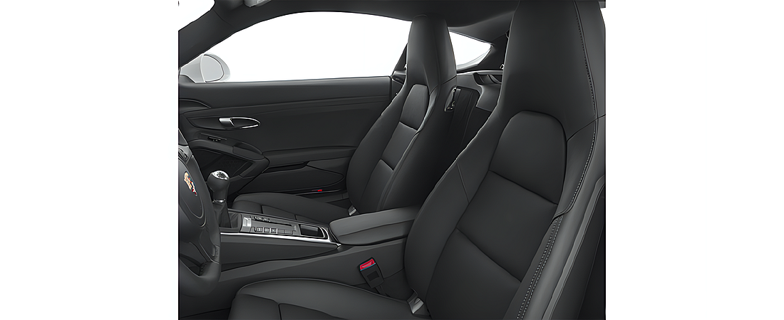 Porsche Cayman 2014 8