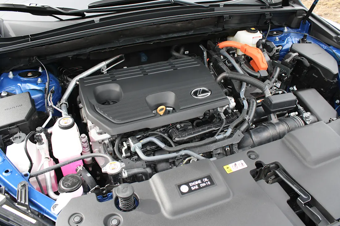2026 Lexus NX350h - TD - DB - 260603 - 18