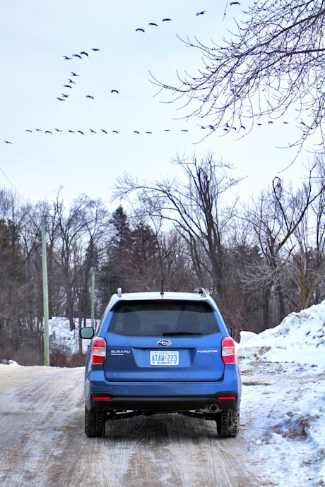 Editorial 2015 subaru forester 25i touring tech jy 11