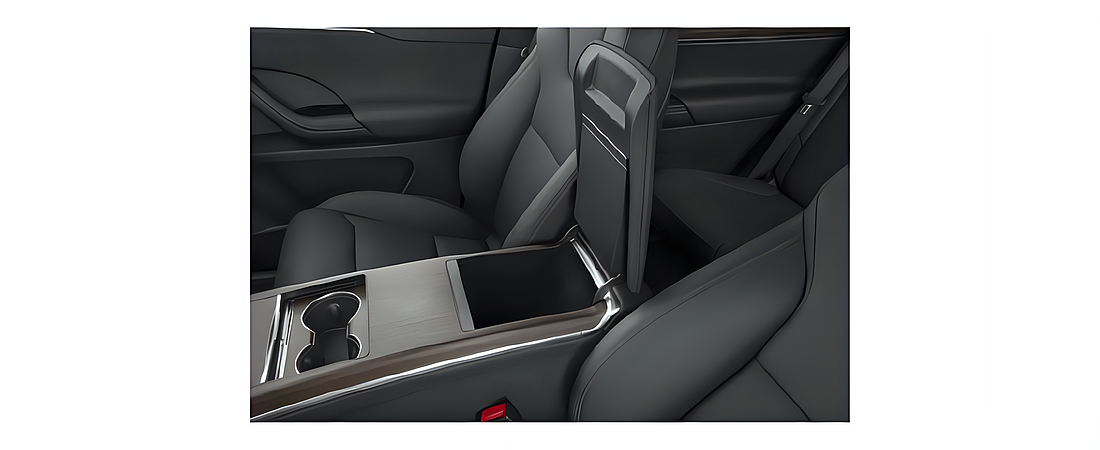 Tesla Model X 2025 11