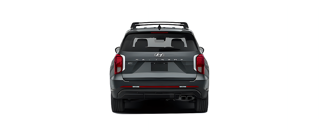 Hyundai Palisade 2024 19