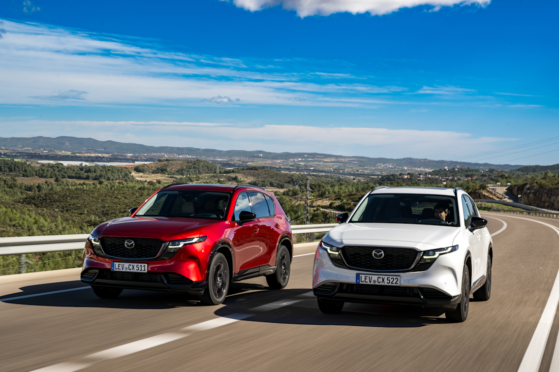 Captura de pantalla 2026-02-25 225118