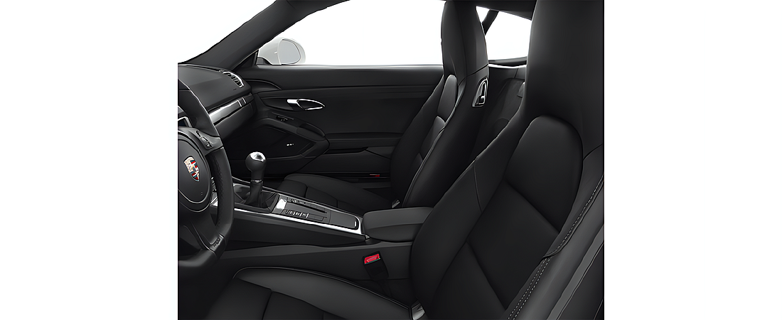 Porsche Cayman 2014 26
