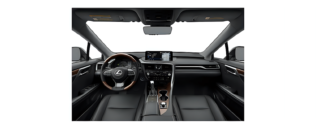 Lexus RX 2020 45
