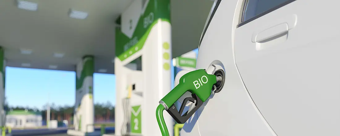 Biobrandstoffen Biobrandstoffen