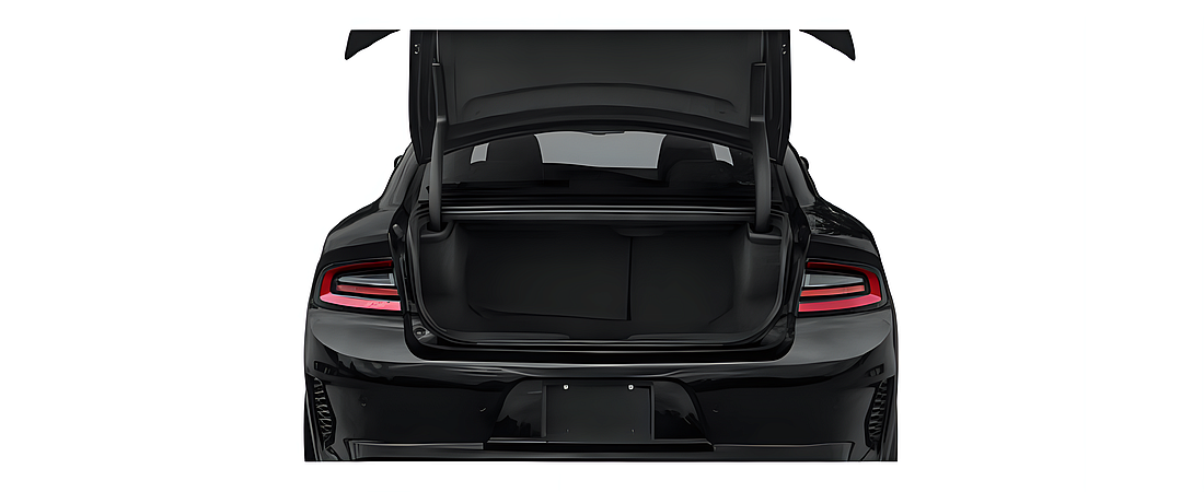 Dodge Charger 2023 49