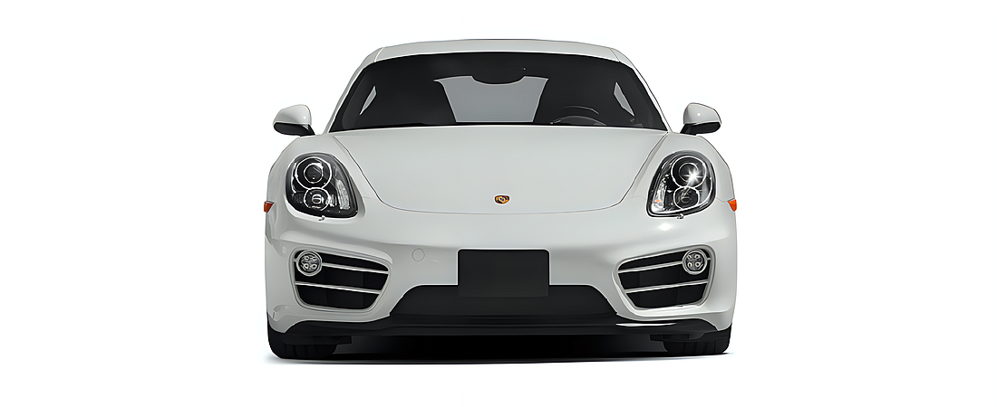 Porsche Cayman 2014 4