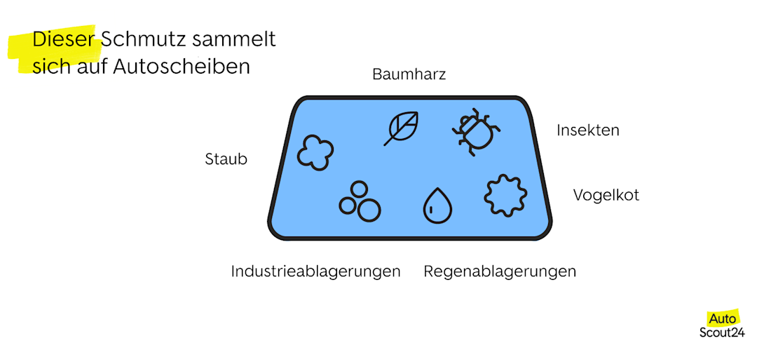 Dieser Schmutz sammelt sich auf Autoscheiben
