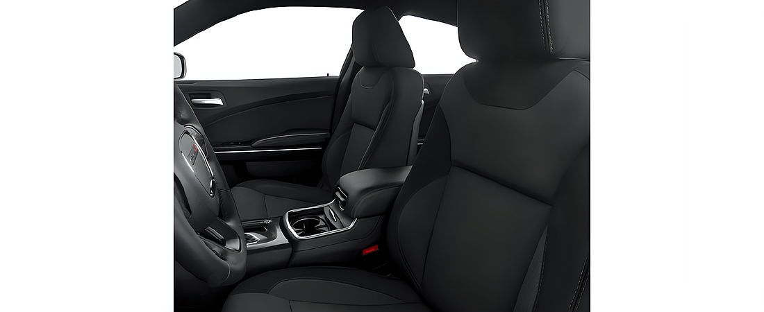 Dodge Charger 2016 8