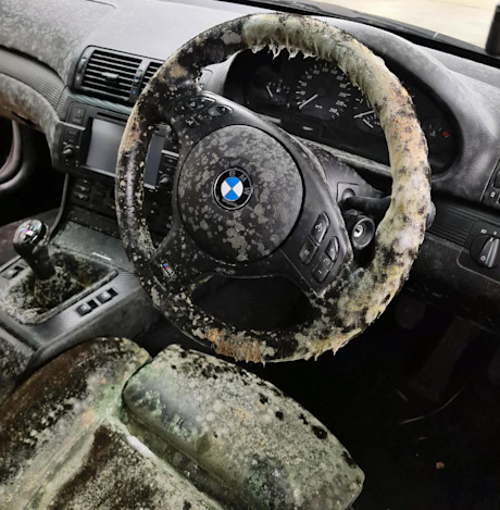 Editorial moldy bmw 02 lallous123