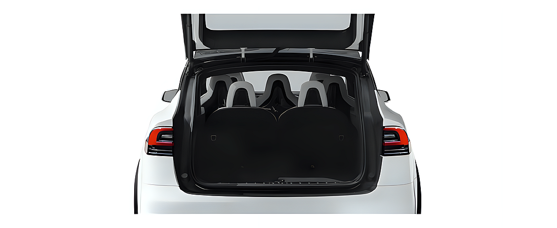 Tesla Model X 2021 11