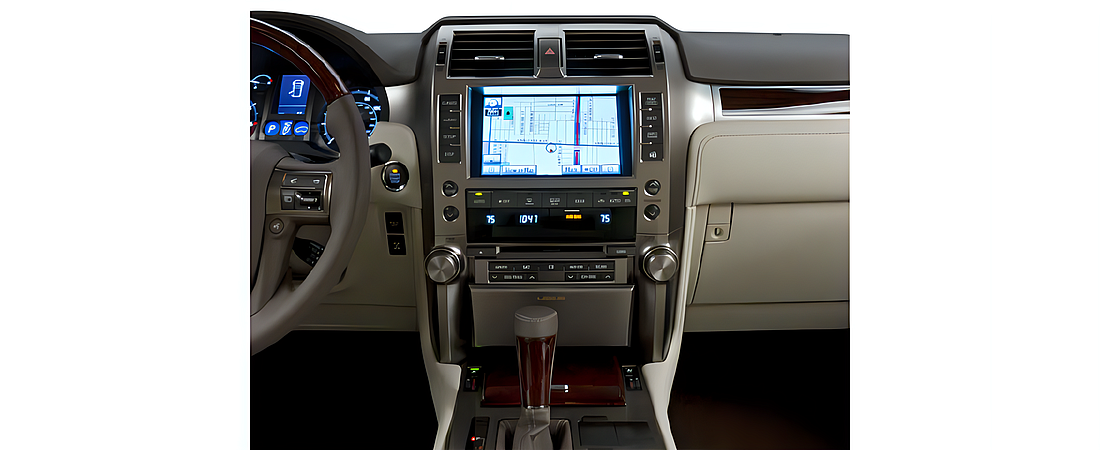 Lexus GX 460 2010 20