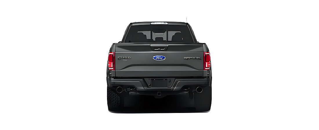 Ford F-150 2019 100