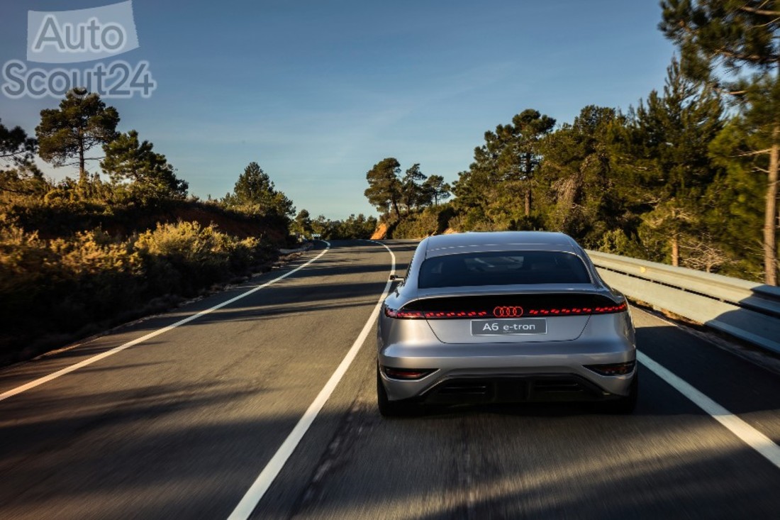 A212285_medium (2).jpg