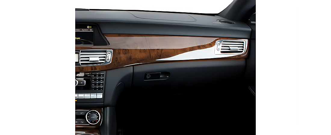 Mercedes-Benz CLS-Class 2013 17