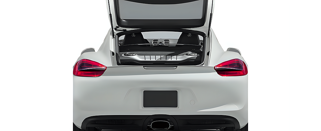 Porsche Cayman 2014 12