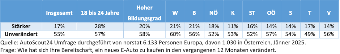 Tabelle "Kauf eines neuen Elektroautos"