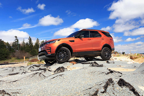 Editorial discovery 25 of 43