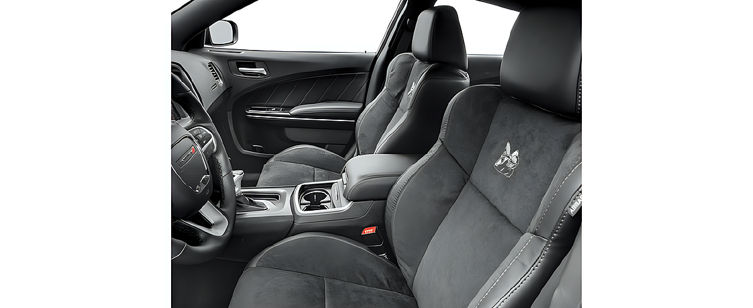 Dodge Charger 2018 53