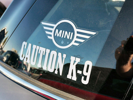 Editorial 34 bh mini takes the states 2016